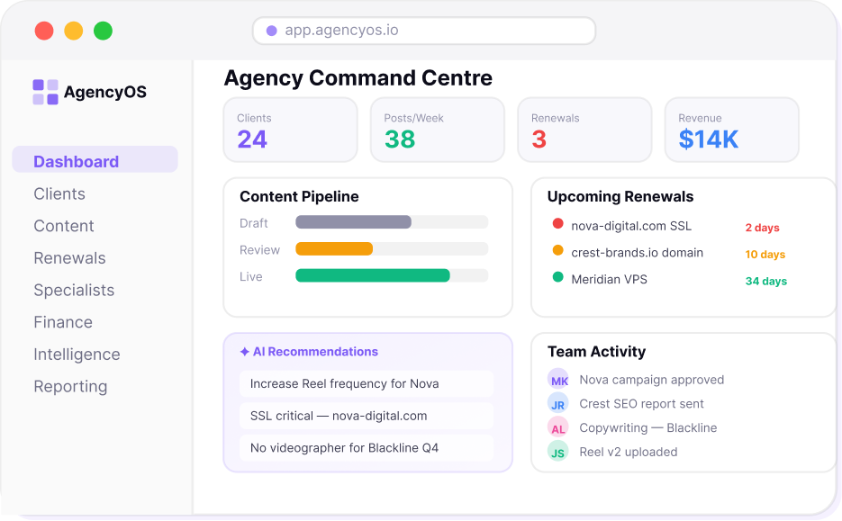 full service digital agency platform