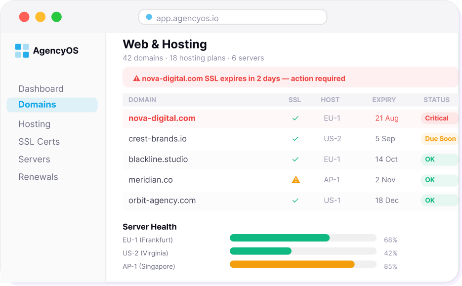 web and hosting agency